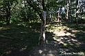 VBS_4702 - Il bosco fatato - Montaldo Roero